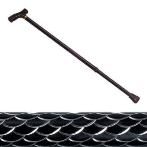 Etched Black Walking Stick