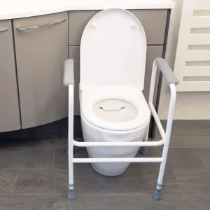 NRS Economy Toilet Frame